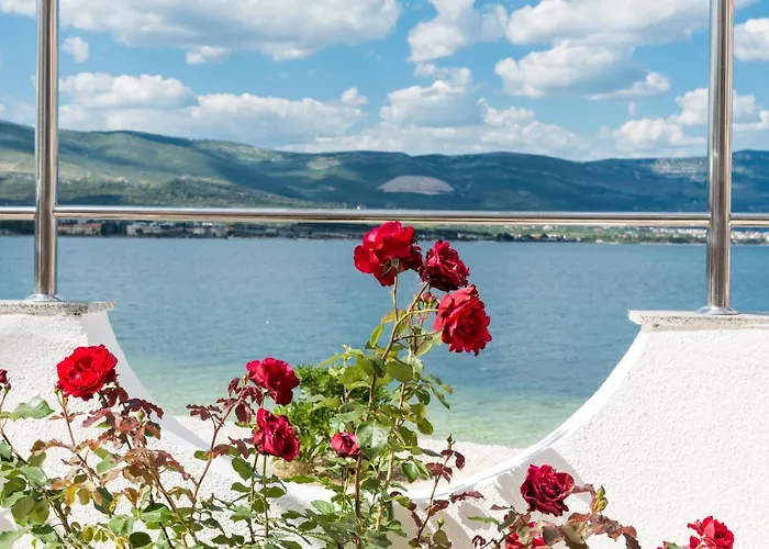 Marin,seaview,terrace With Massage Hot Tube,grill Place,parking